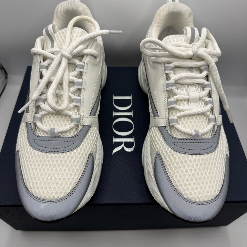 Dior White and Gray Men's Chunky Sneakers - Picture 2 of 7